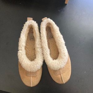 Low top Uggs